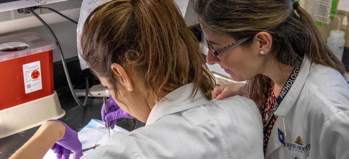 Researchers Analyzing Specimens