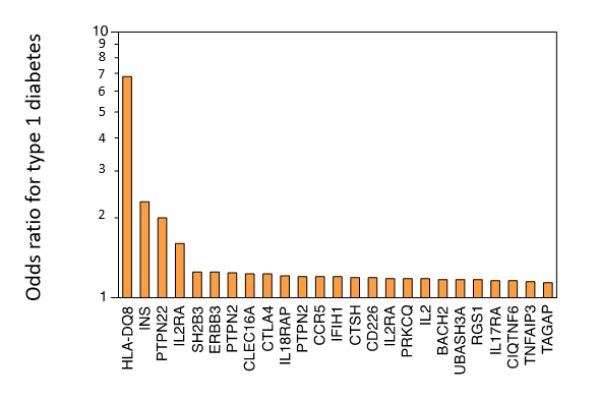 Hla Disease Association Chart