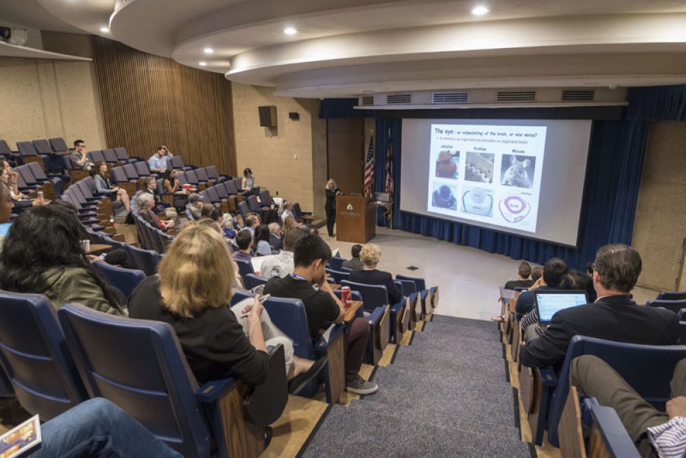 18th Autoimmunity Day - 23