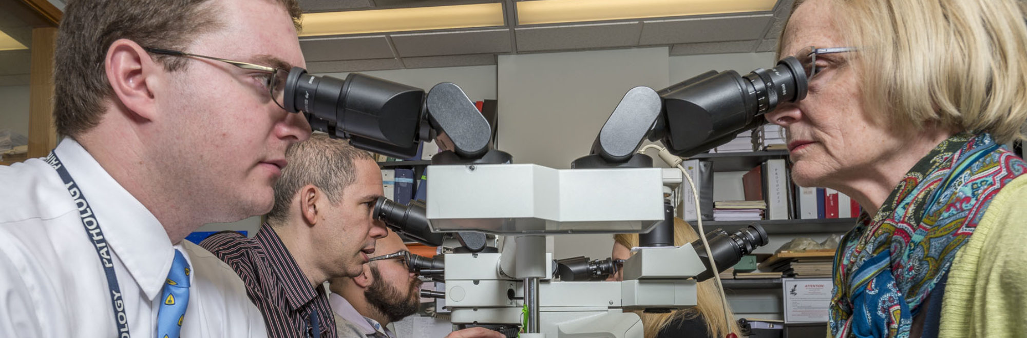 Pathologists Using Microscopes