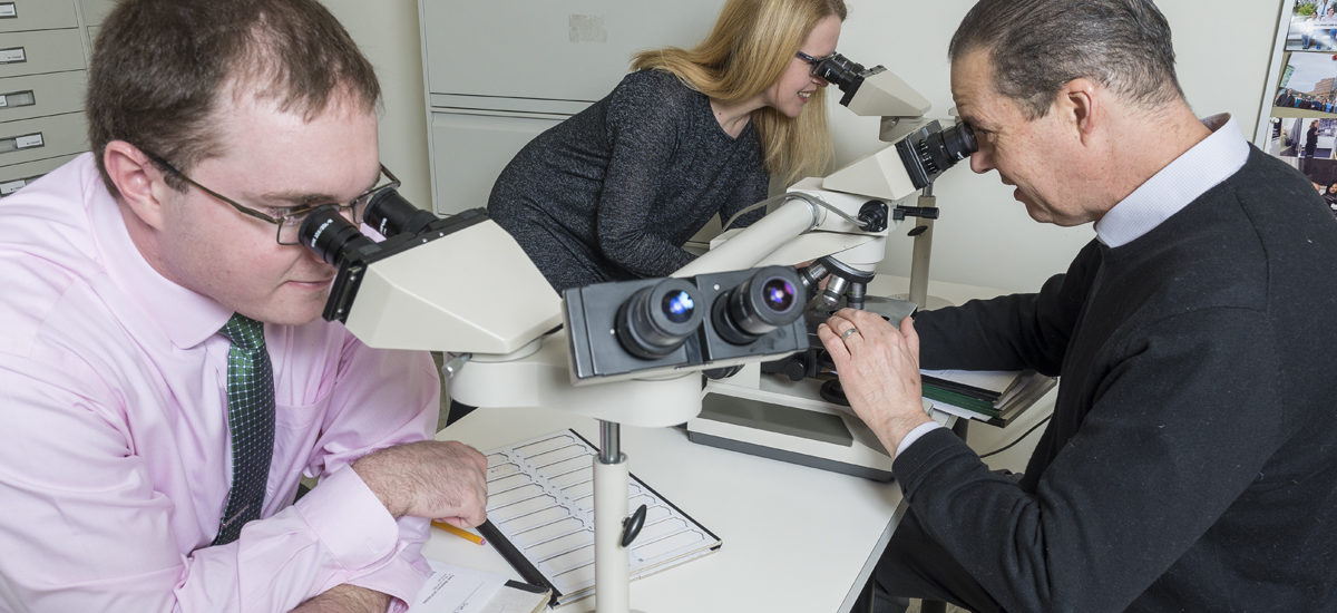 Johns Hopkins Pathologists Examining Slides