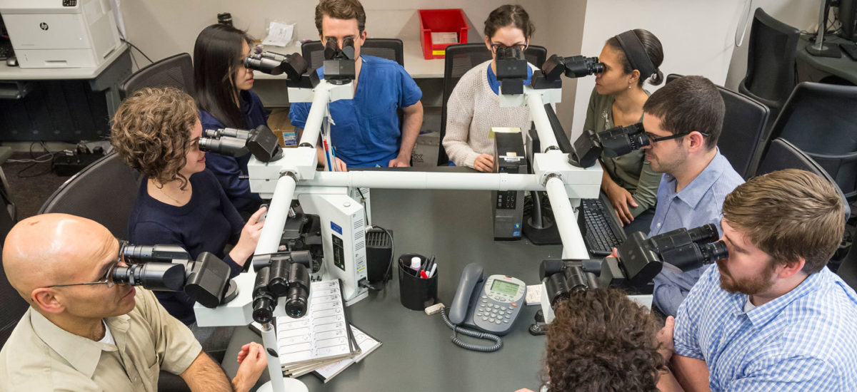 Johns Hopkins Breast Pathology Team