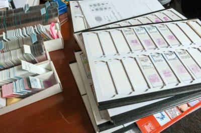 Trays of Pathology slides