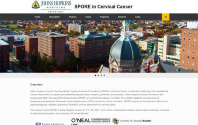 SPORE in Cervical Cancer