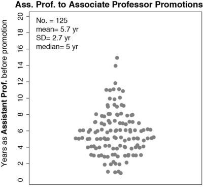 Faculty Members - Assistant Professor to Professor Promotions (Figure 8)