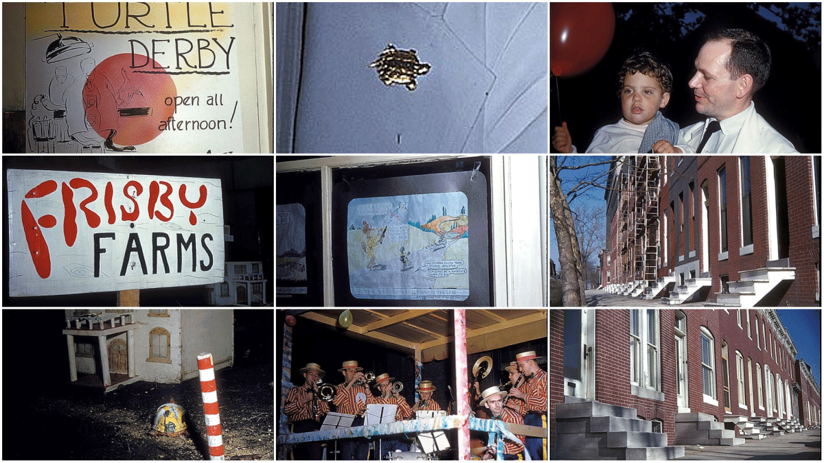 Turtle derby photo collage