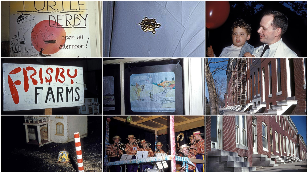 Turtle derby photo collage