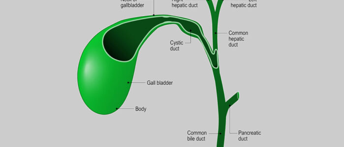 Gallbladder and Bile Duct Cancer - Gallbladder & Bile Duct Cancer ...