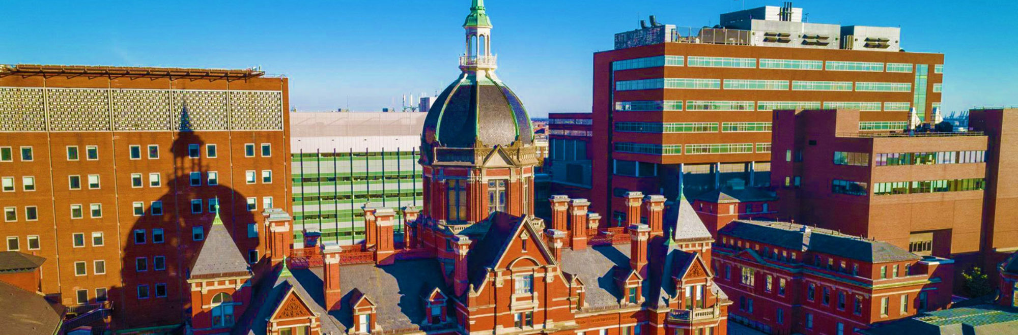 Johns Hopkins Dome