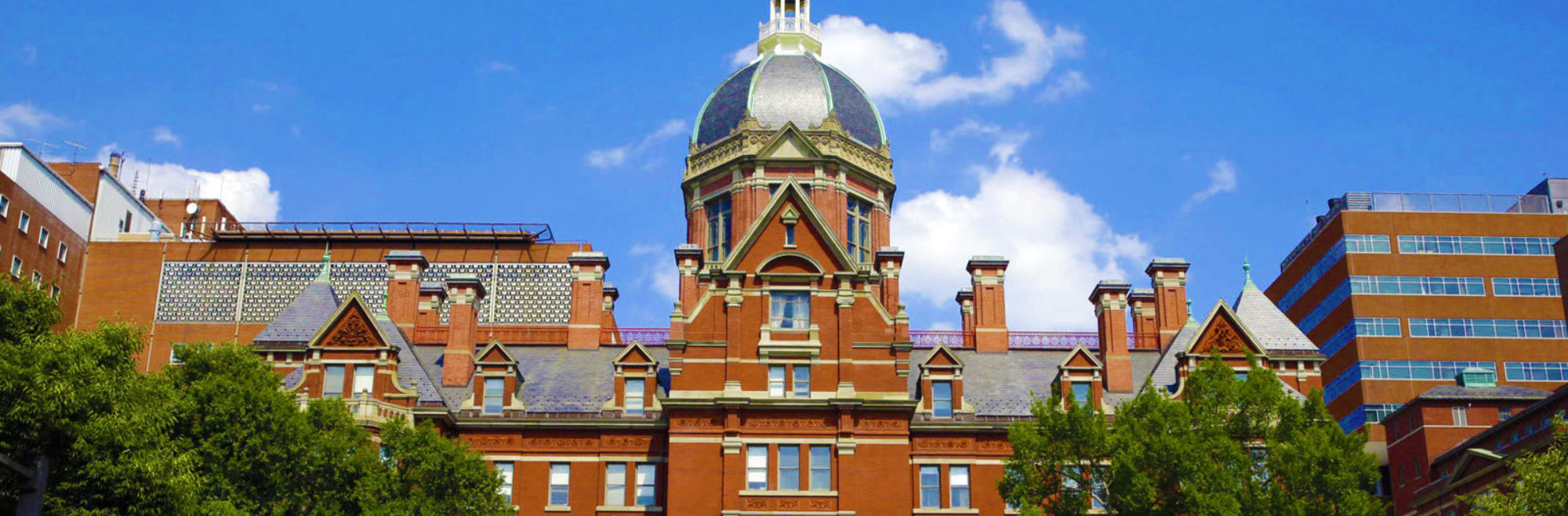 Johns Hopkins Dome