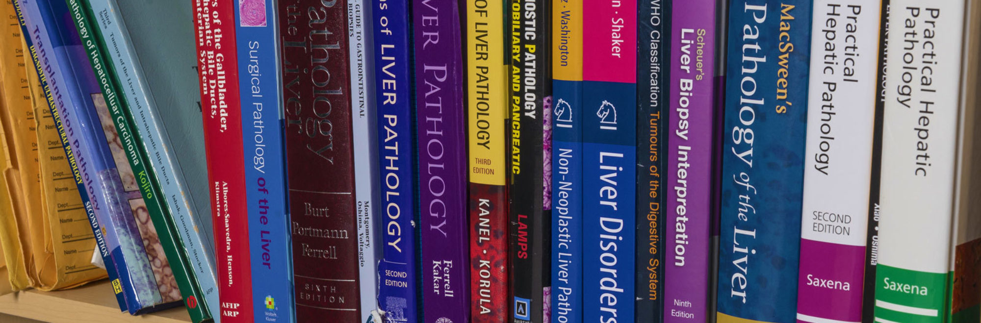 Liver Pathology Books