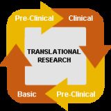 Translational Research Cycle