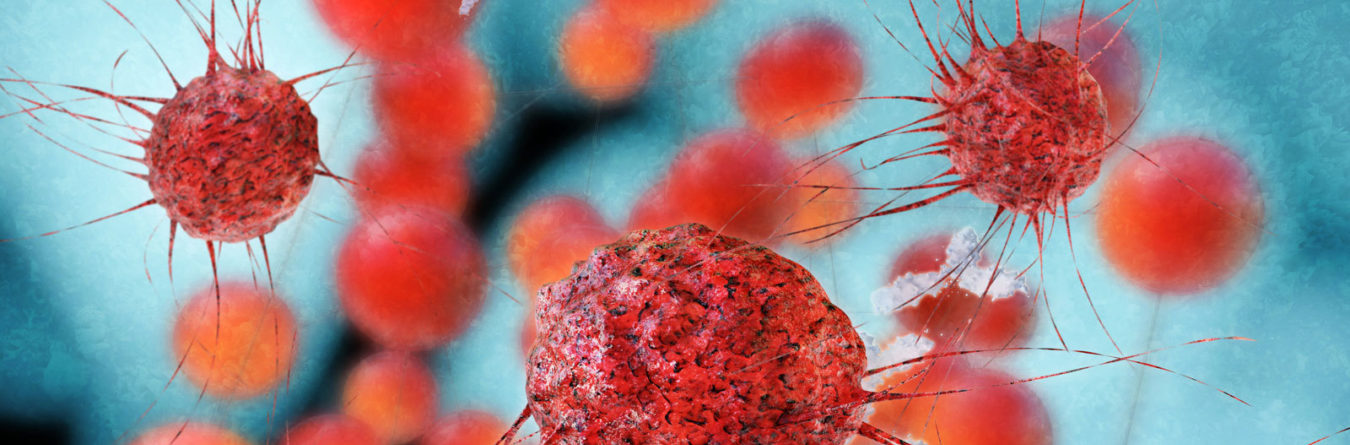 Cancer cells