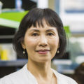 Shudong Wang, Ph.D., FRSC