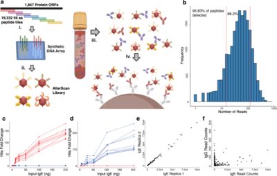 Immuno Published article