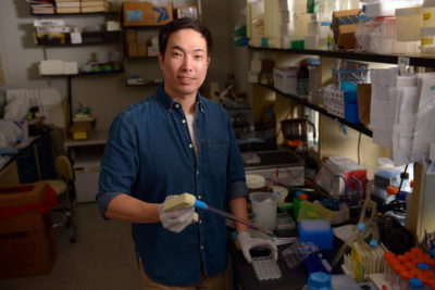 Byung Woo Kim at Work in the Lab