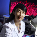 Guo-li Ming, M.D., Ph.D.
