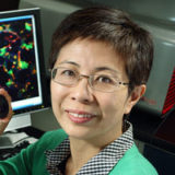 Mei Wan, Ph.D.