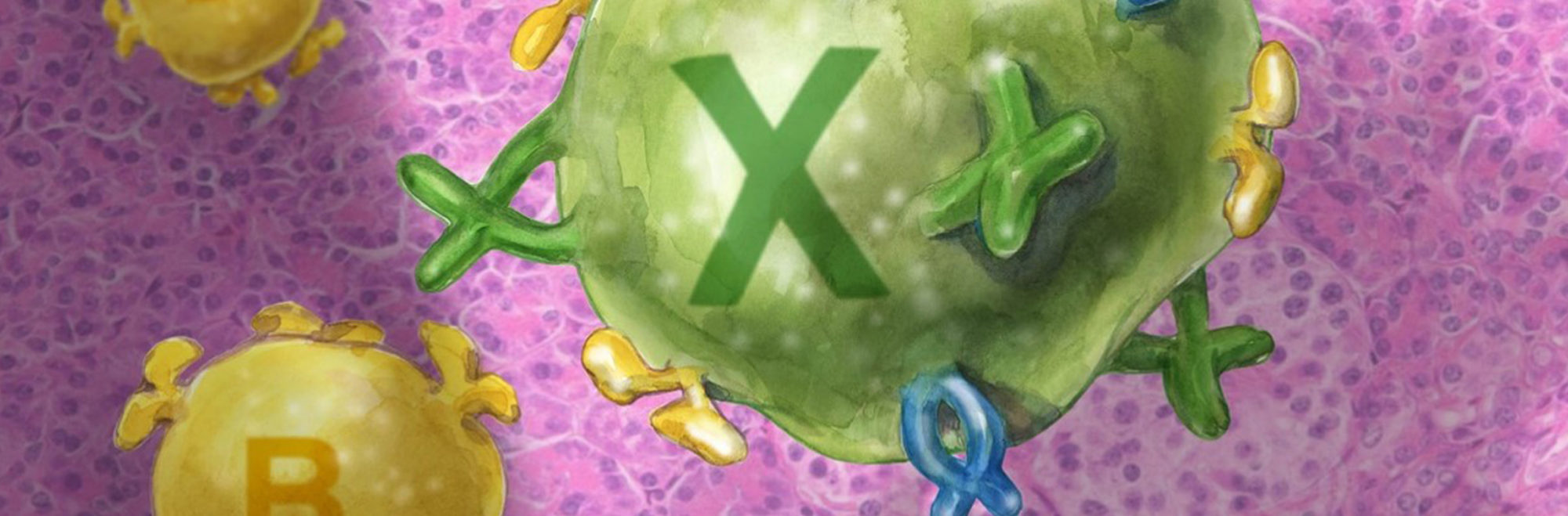 X Cell